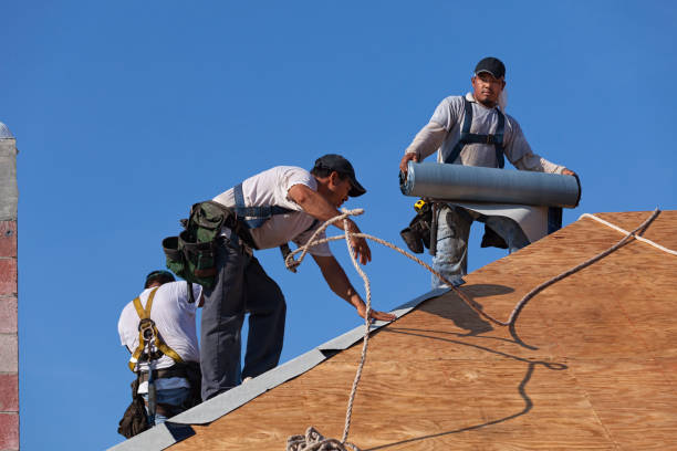 Roof Gutter Cleaning in Edgewater, MD